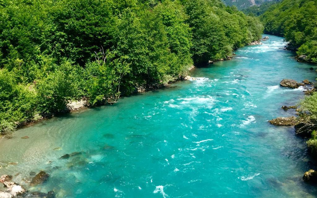 Rafting Camp Tara 87 Hotel Hum Екстериор снимка